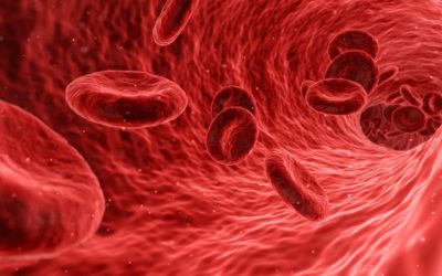 Erythropoetin – EPO sorgt für rote Blutkörperchen und mehr