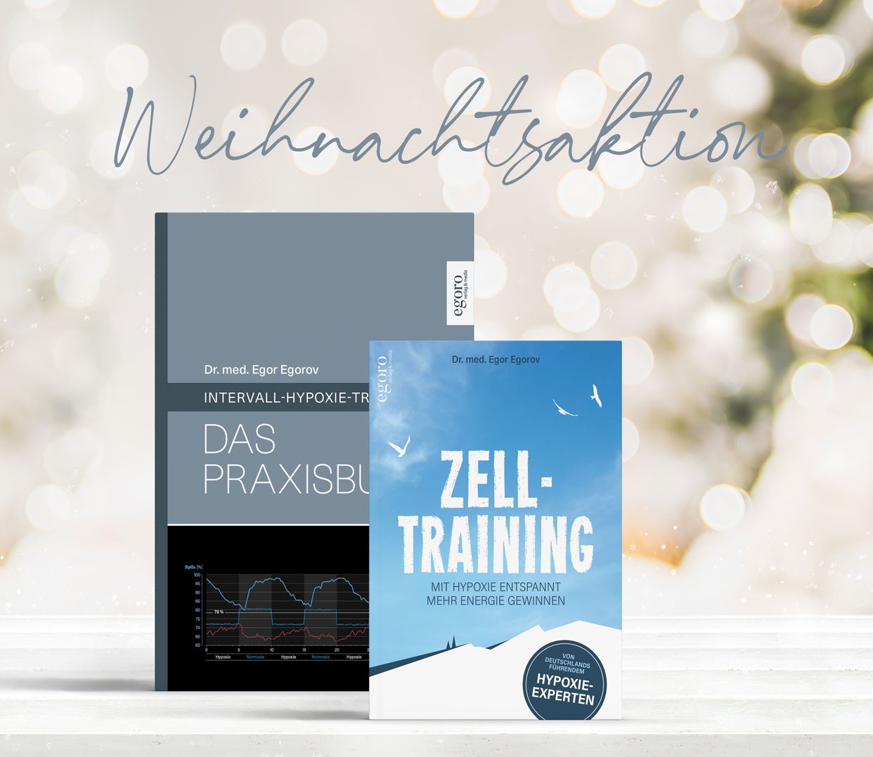Weihnachtaktion_1